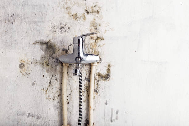Trusted Orange, OH Mold Remediation Experts