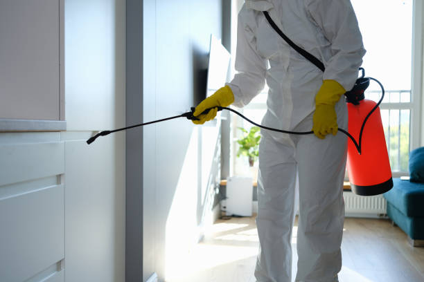 Best Basement Mold Remediation in Orange, OH