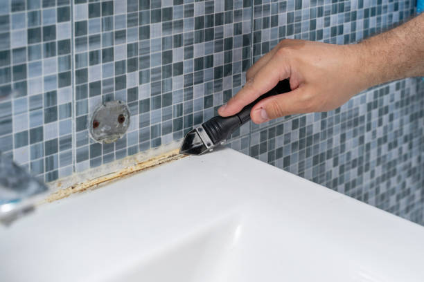 Best Insurance-Related Mold Remediation in Orange, OH